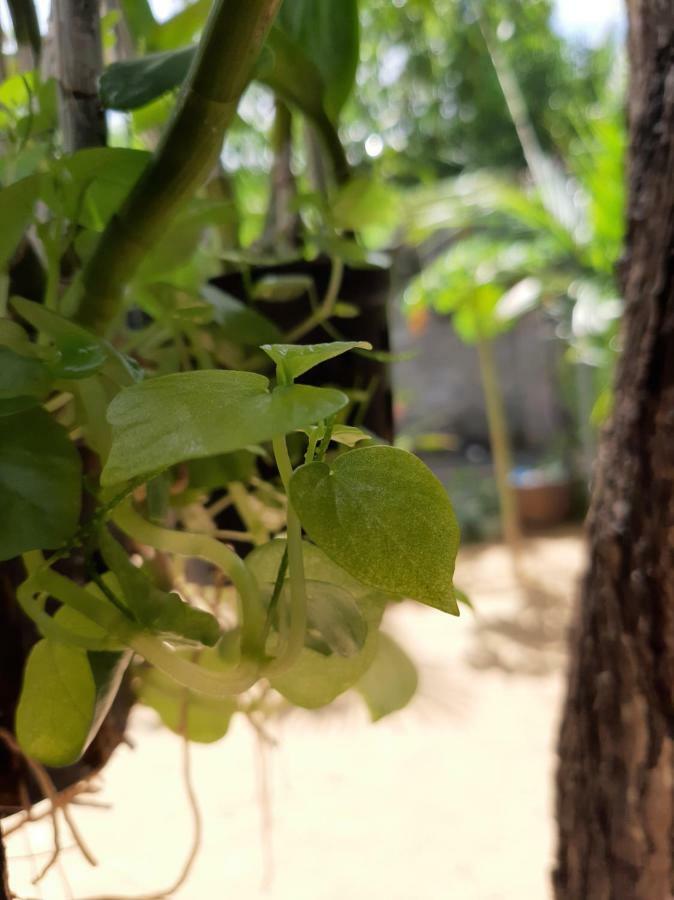 Connect Apartamento Phan Thiet Exterior foto