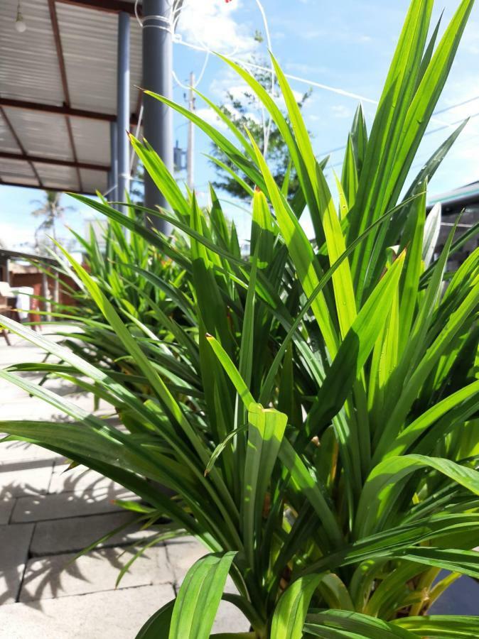 Connect Apartamento Phan Thiet Exterior foto